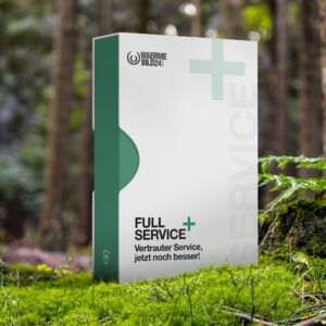 Full Service Plus
